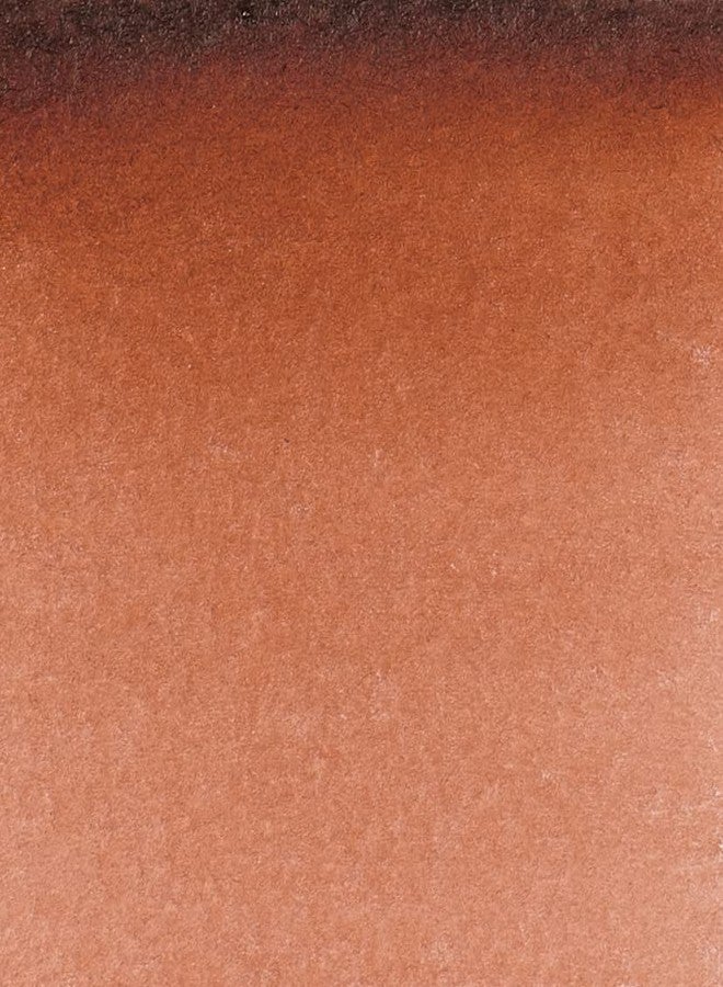 Schmincke 14648001 Horadam Watercolor 5 ml Translucent Brown - Image 2